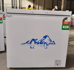 Good Working Quality Original Icecool 169 Litres Freezer