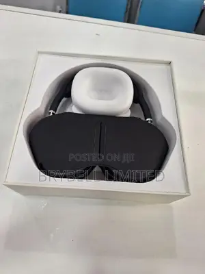 Airpods Max Gray