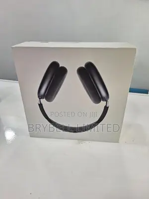 Airpods Max Gray