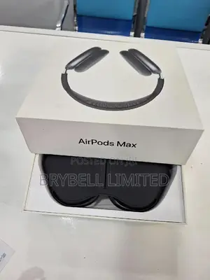 Airpods Max Gray