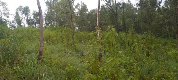 Gem Komuok 17 Acres - thumbnail 6