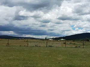 Offer! Offer!Prime Plots at Lavender Kiawara, ,Nyeri.100m From Road