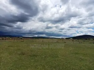 Offer! Offer!Prime Plots at Lavender Kiawara, ,Nyeri.100m From Road