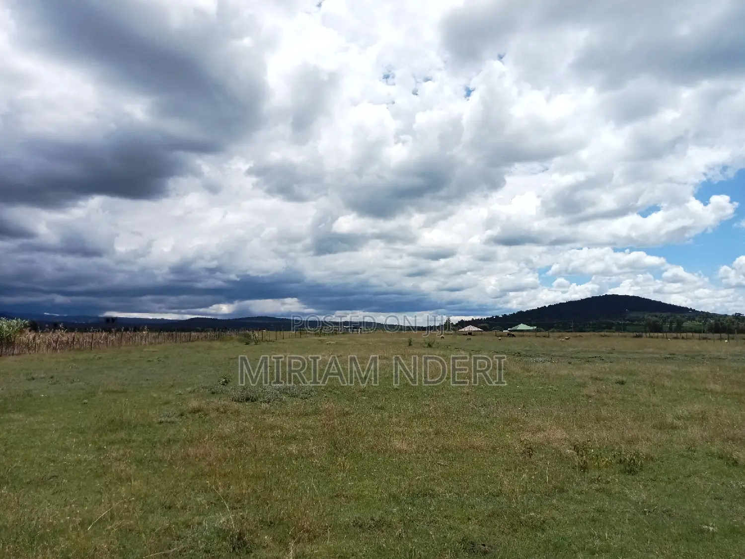 Offer! Offer!Prime Plots at Lavender Kiawara, ,Nyeri.100m From Road