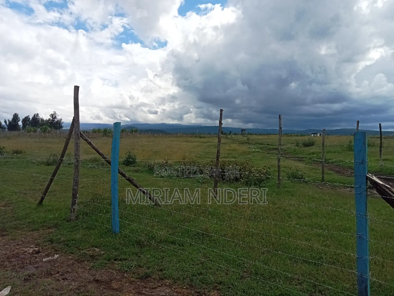 Offer! Offer!Prime Plots at Lavender Kiawara, ,Nyeri.100m From Road