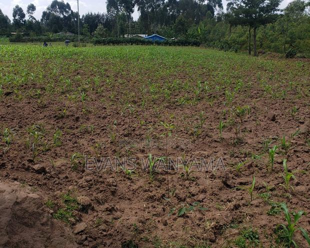 1 Acre of Land Located in Matunda, Moi's Bridge.