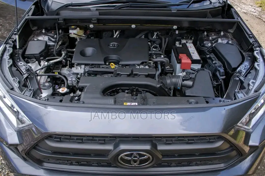 Toyota RAV4 LE 4dr SUV (2.5L 4cyl 6A) 2018 Black