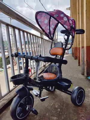 Kids Push Handle Tricycle With a Canopy for Shade