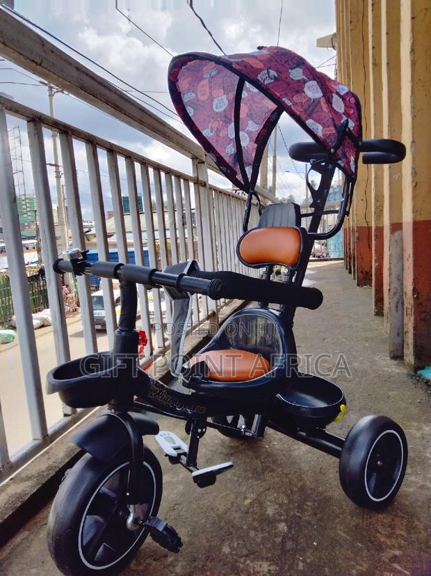 Kids Push Handle Tricycle With a Canopy for Shade - main view