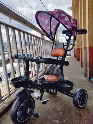 Kids Push Handle Tricycle With a Canopy for Shade