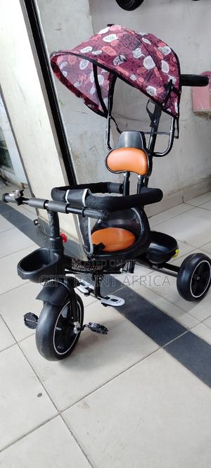 Kids Push Hand Tricycle With a Canopy for Shade - thumbnail 2