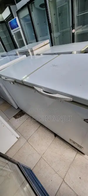 2 Doors Freezer 500l
