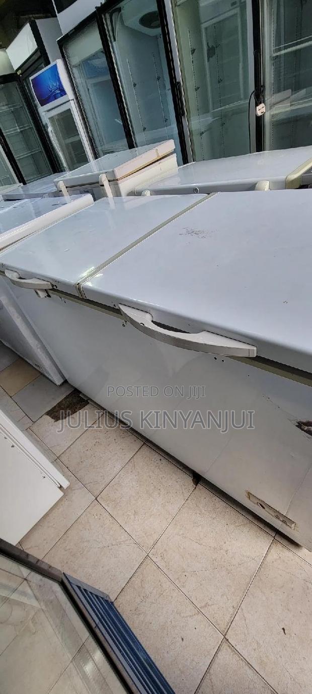 2 Doors Freezer 500l