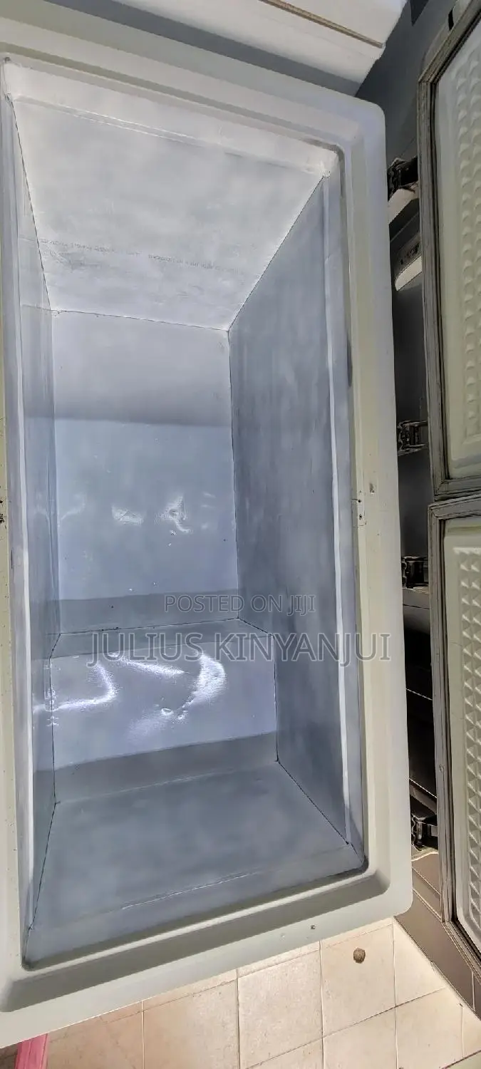 2 Doors Freezer 500l