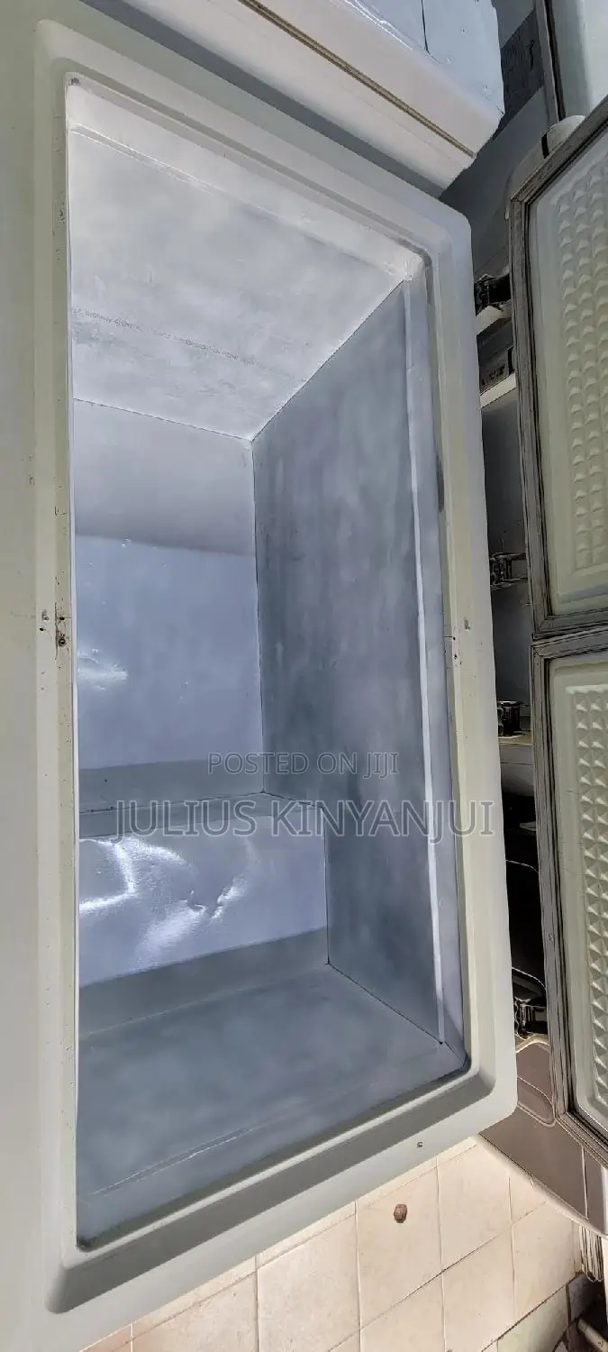2 Doors Freezer 500l