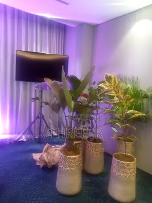 Great Tv Screen for Hire Set Up in a Cocktail Dinner