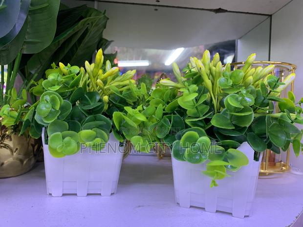 Artificial Decor Plants/Flowers