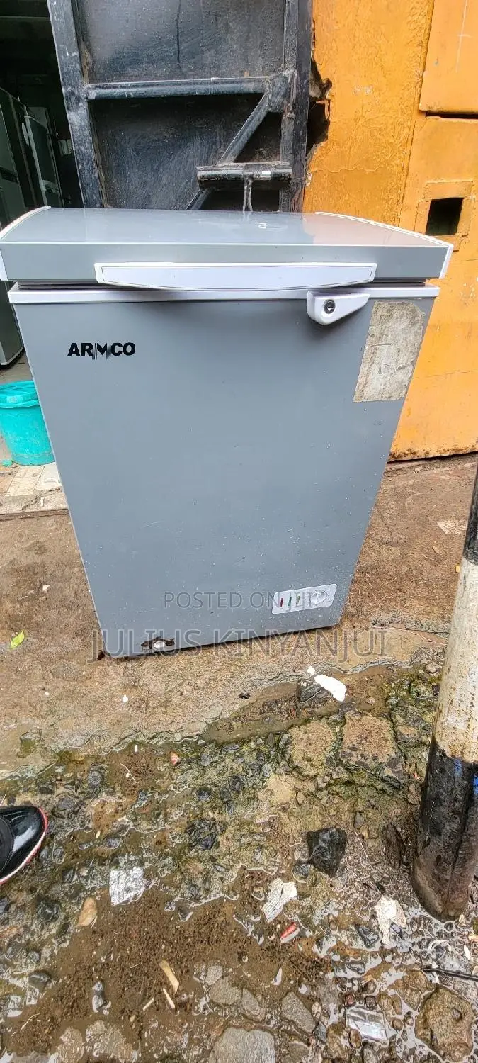 Mini Freezer 100L