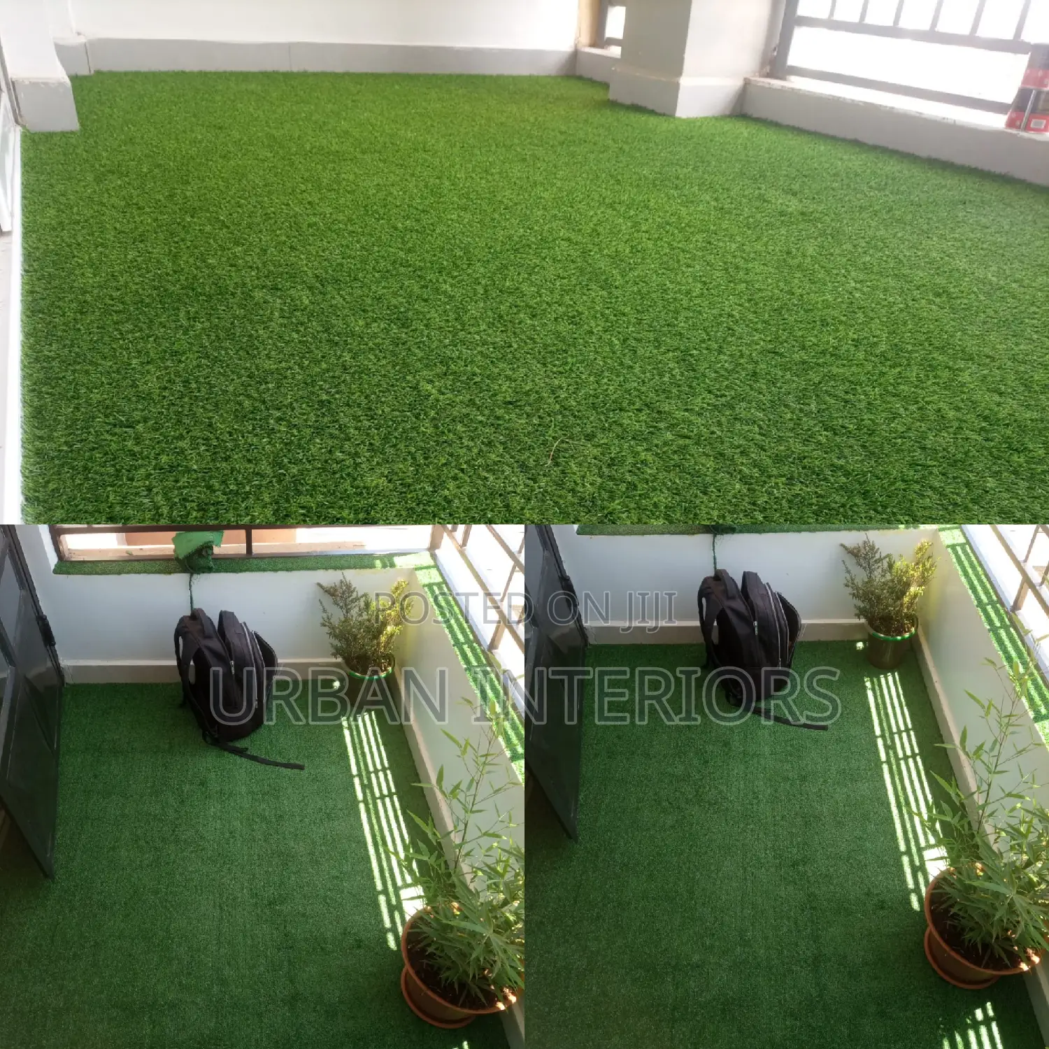 Grass Carpet Grass Carpet Grass Carpet Grass Carpet