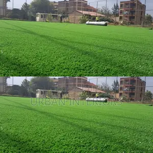 Grass Carpet Grass Carpet Grass Carpet Grass Carpet