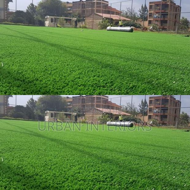 Grass Carpet Grass Carpet Grass Carpet Grass Carpet - main view