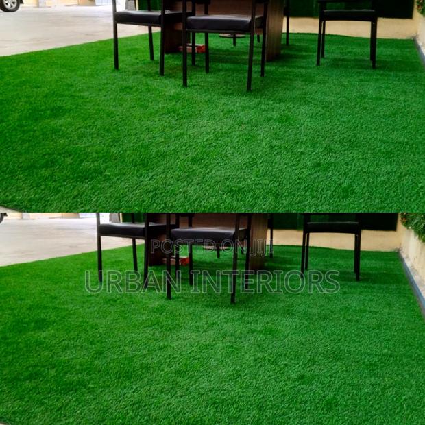 Grass Carpet Grass Carpet Grass Carpet Grass Carpet - main view