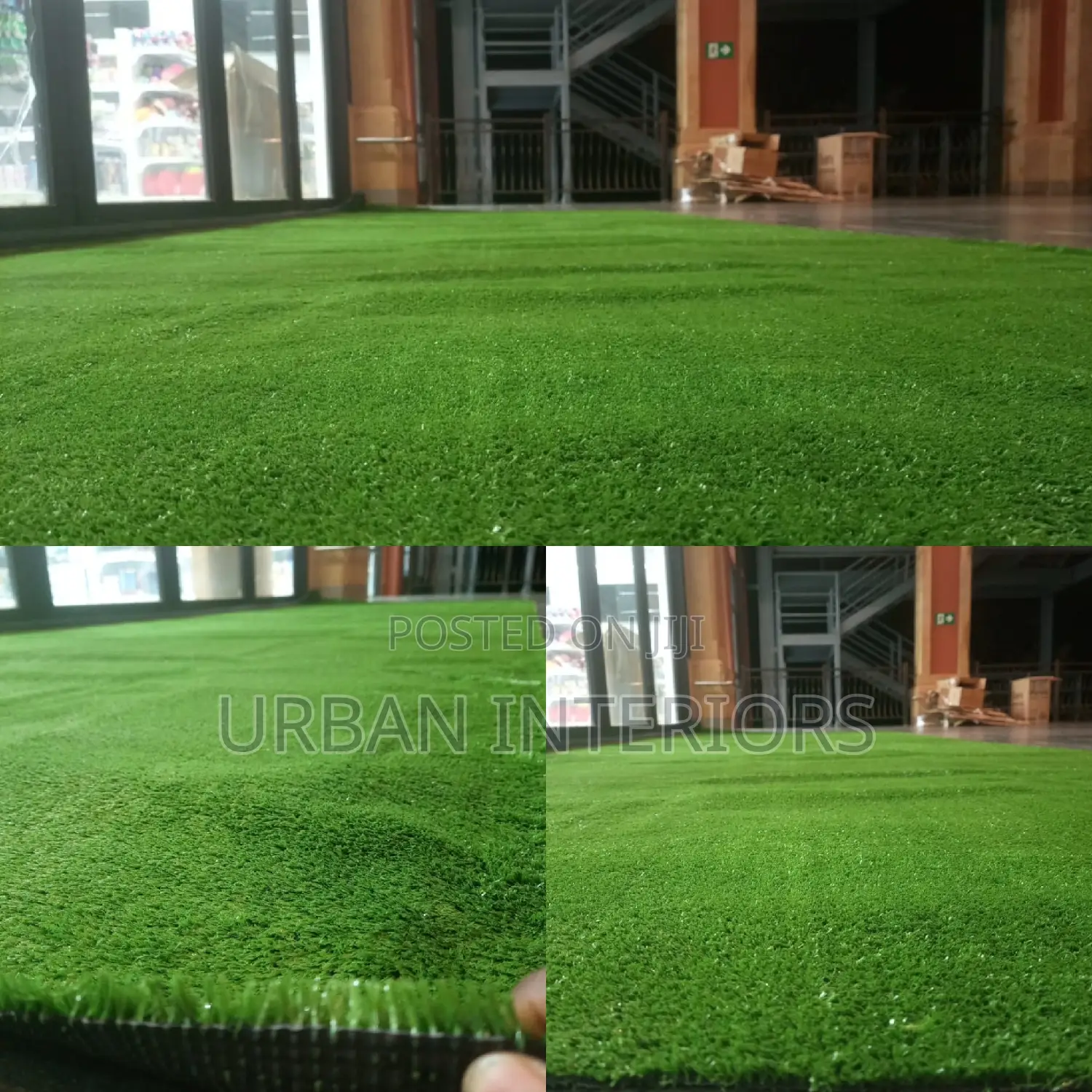 Grass Carpet Grass Carpet Grass Carpet Grass Carpet