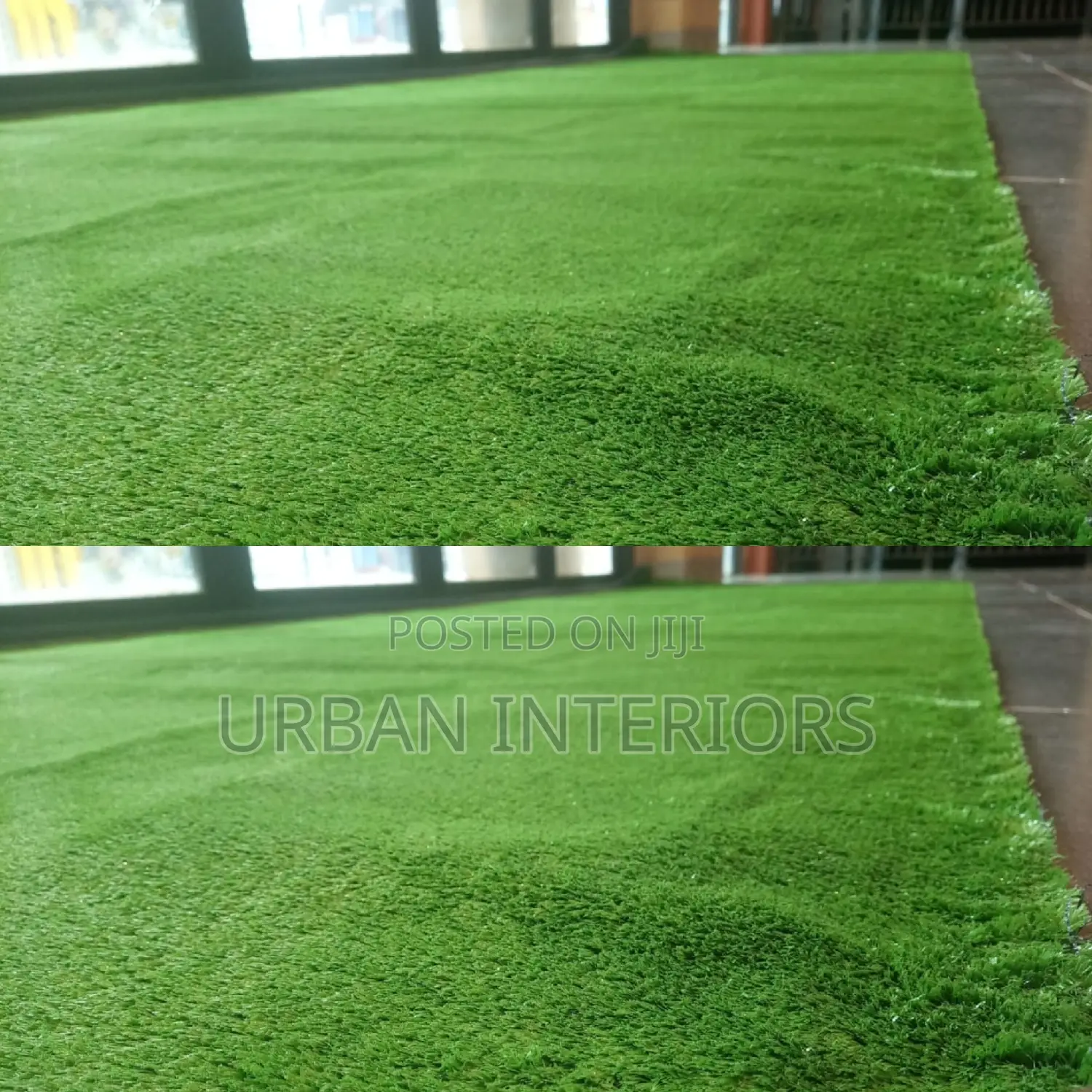 Grass Carpet Grass Carpet Grass Carpet Grass Carpet