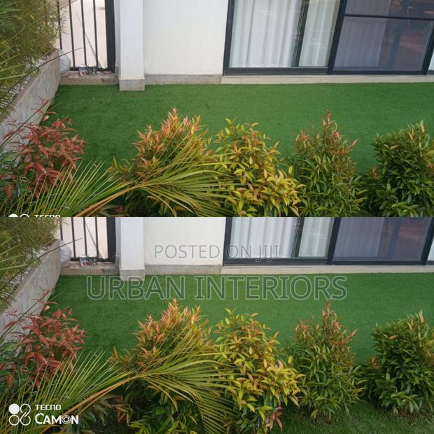 Grass Carpet Grass Carpet Grass Carpet Grass Carpet - main view