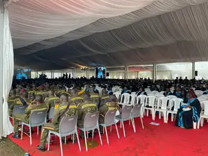 Tents! Chairs! Red Carpet! Tents
