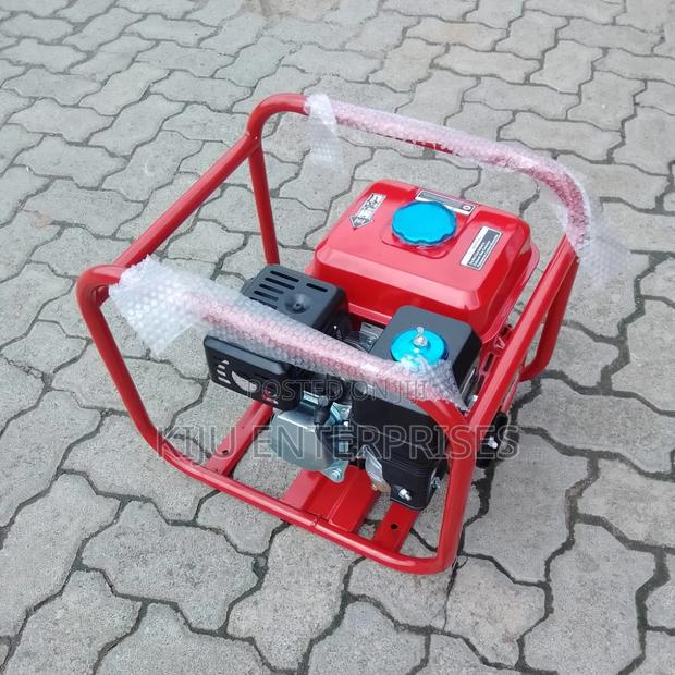 Windsor-Poker-Vibrator Available - main view