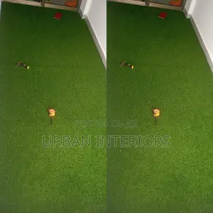 Grass Carpet Grass Carpet Grass Carpet Grass Carpet