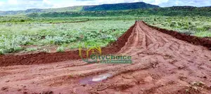 Affordable 50x100 Plot for Sale in Nachu - Kikuyu