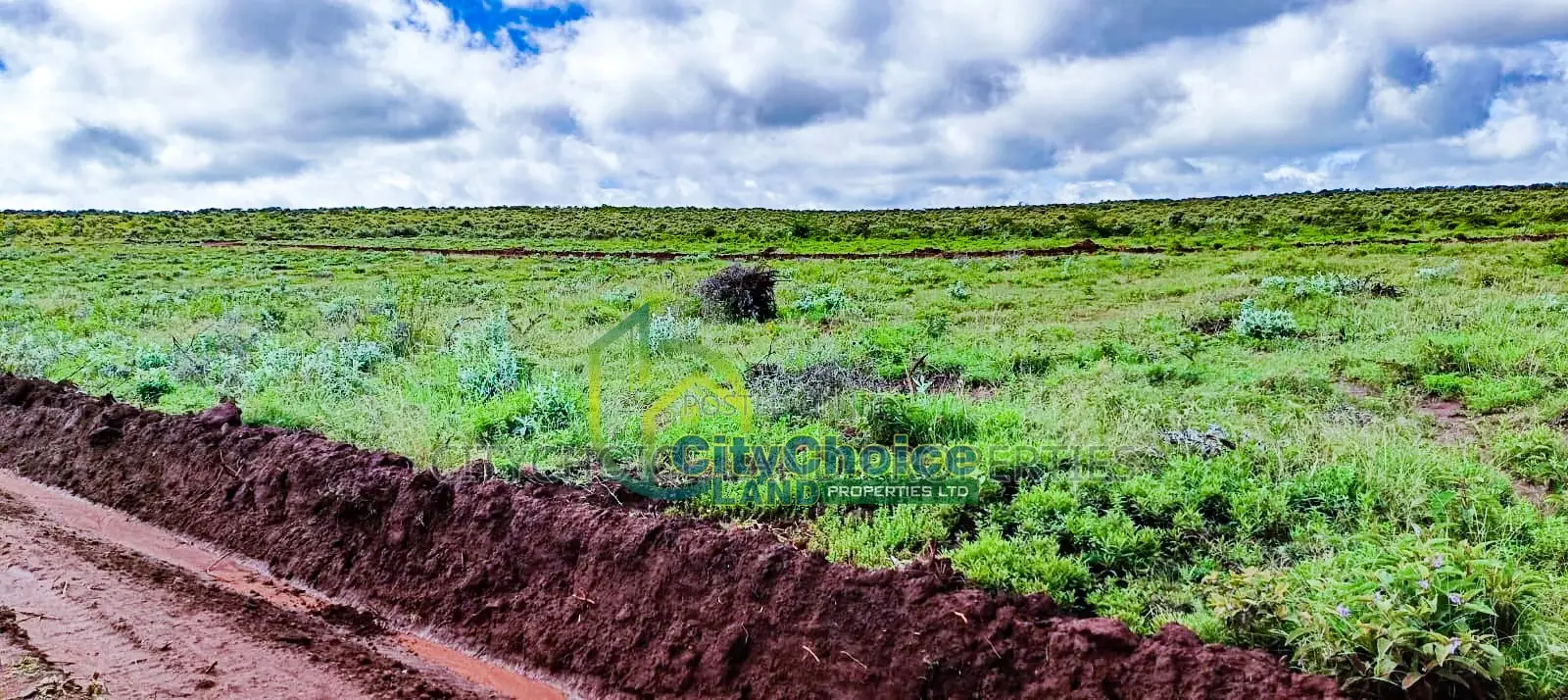 Affordable 50x100 Plot for Sale in Nachu - Kikuyu