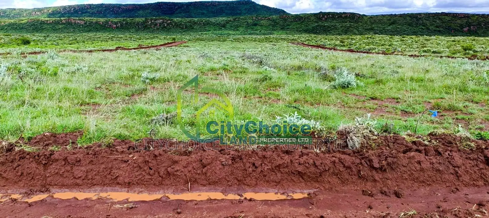 Affordable 50x100 Plot for Sale in Nachu - Kikuyu