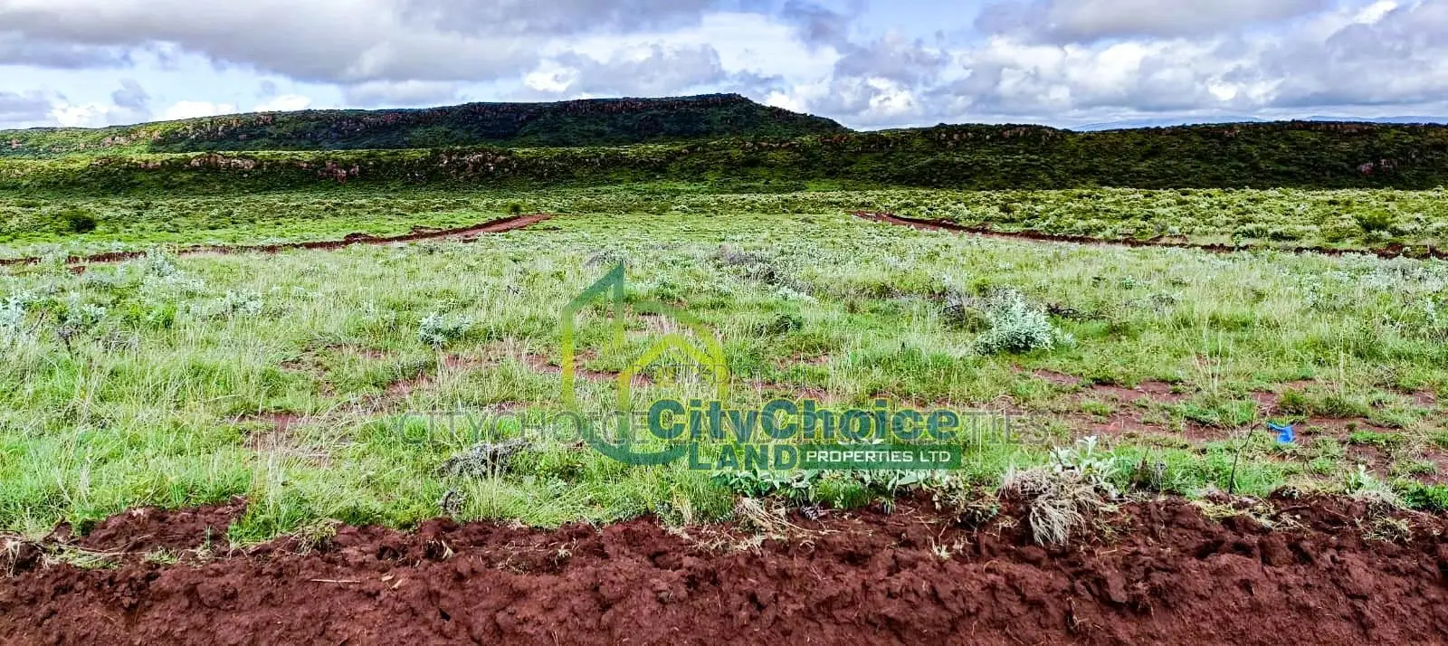 Affordable 50x100 Plot for Sale in Nachu - Kikuyu