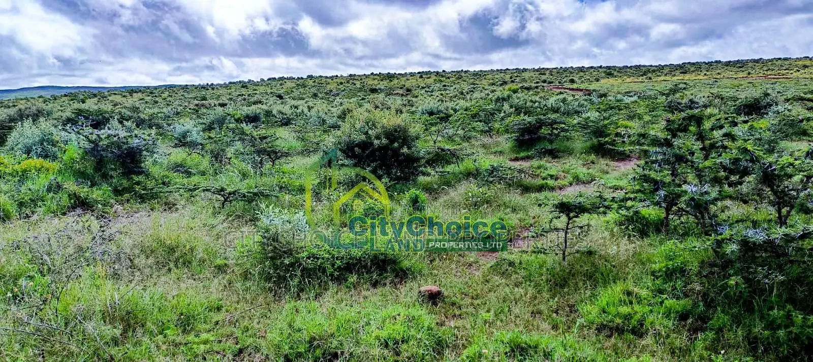 Affordable 50x100 Plot for Sale in Nachu - Kikuyu