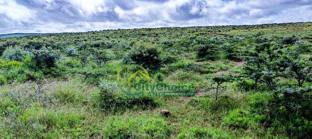 Affordable 50x100 Plot for Sale in Nachu - Kikuyu - thumbnail 8