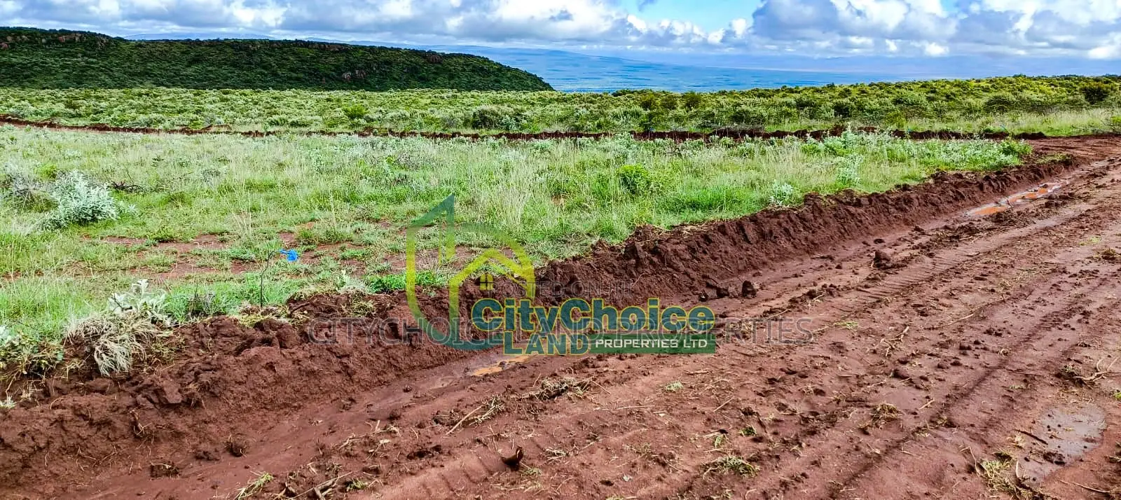 Affordable 50x100 Plot for Sale in Nachu - Kikuyu