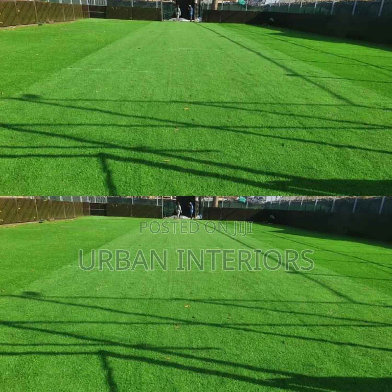 Grass Carpet Grass Carpet Grass Carpet Grass Carpet
