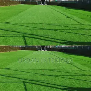 Grass Carpet Grass Carpet Grass Carpet Grass Carpet