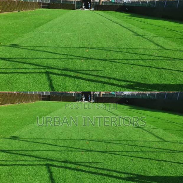 Grass Carpet Grass Carpet Grass Carpet Grass Carpet - main view