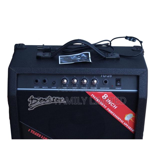 Deviser TG-25 Guitar Combo - main view