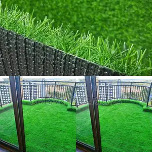 Grass Carpet Grass Carpet Grass Carpet Grass Carpet