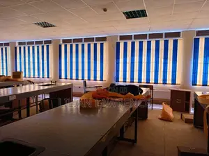 Window Blinds