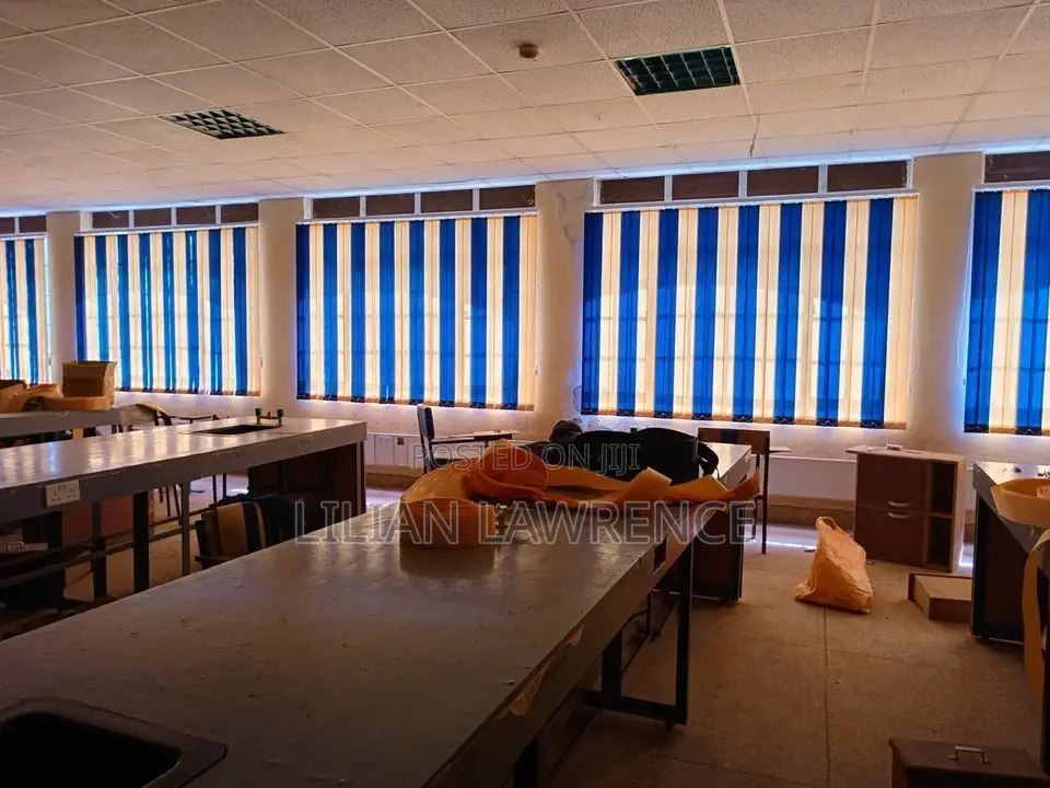Window Blinds
