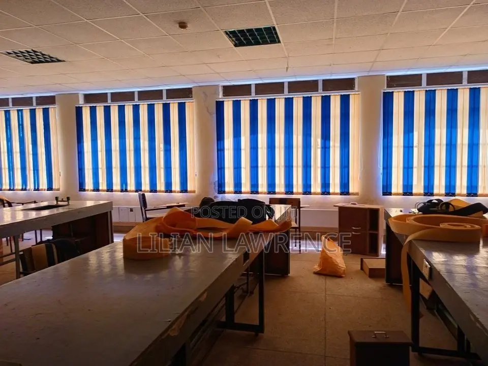 Window Blinds