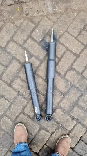 Front and Rear Shocks 100 Series Amazon