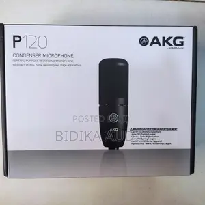 Akg P120 Condenser Microphone