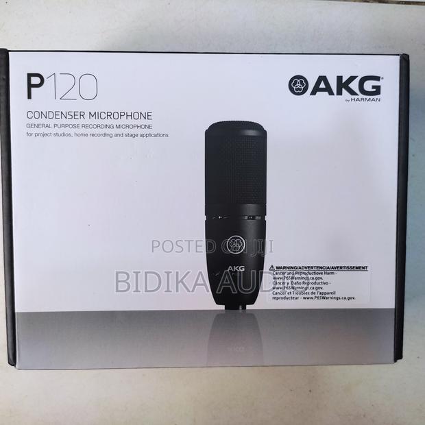 Akg P120 Condenser Microphone - thumbnail 4